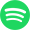 Spotify icon